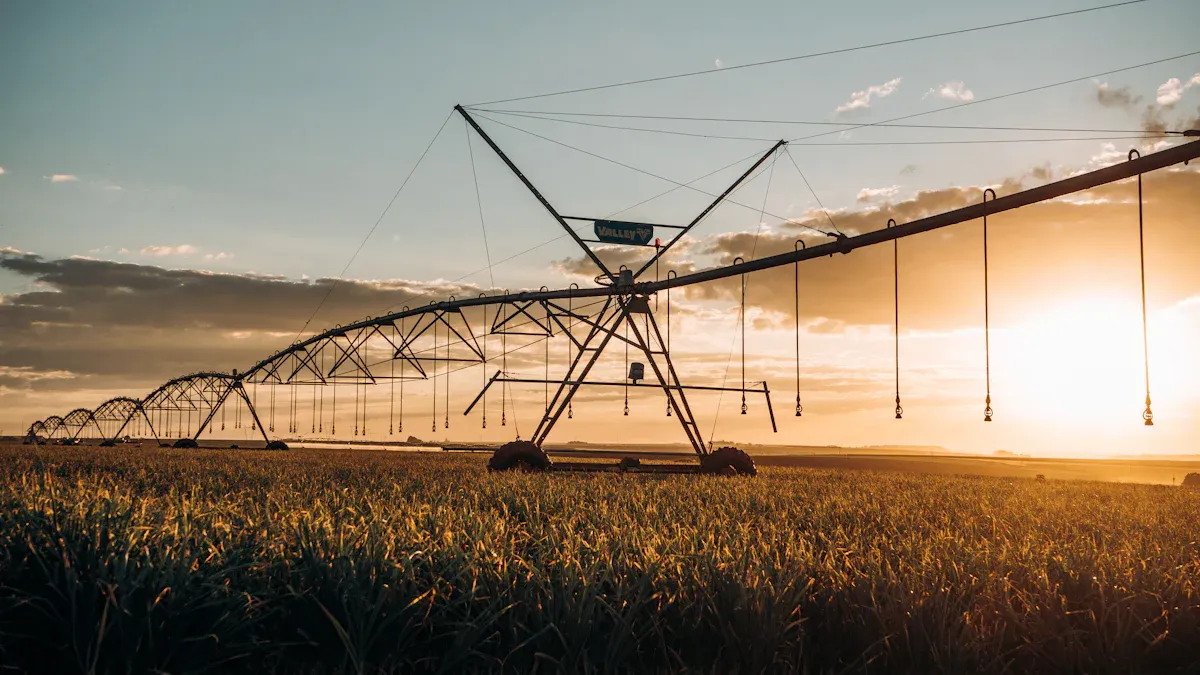 Automated Irrigation