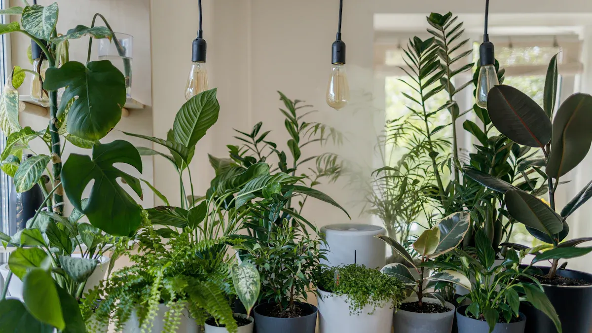 Indoor Smart Gardening