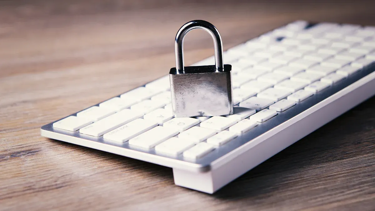 Security Risks of WordPress